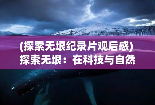 (探索无垠纪录片观后感) 探索无垠：在科技与自然的交汇处，揭开无限世界的奥秘与机遇